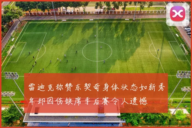 雷迪克称赞东契奇身体状态如新秀年却因伤缺席季后赛令人遗憾