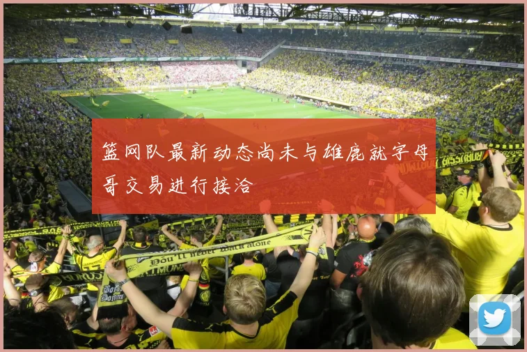 篮网队最新动态尚未与雄鹿就字母哥交易进行接洽